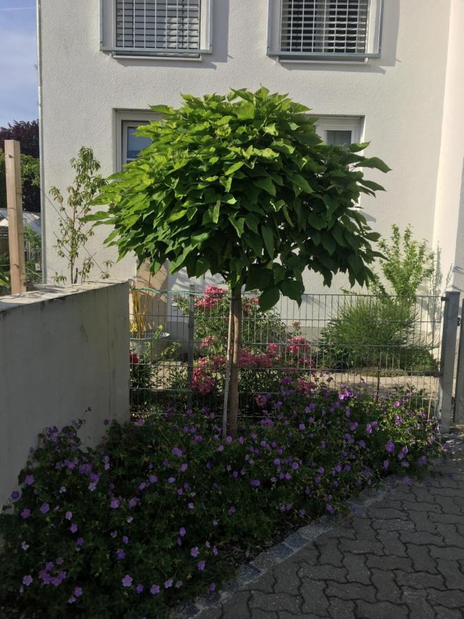 Ferienwohnung Im Herzen Von 켈하임 외부 사진